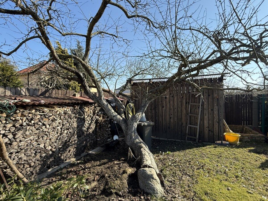 Ger�teschuppen Haus Anklam