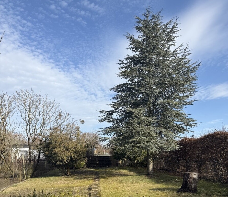 Garten Doppelhaush�lfte Anklam